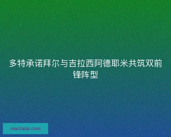 多特承诺拜尔与吉拉西阿德耶米共筑双前锋阵型
