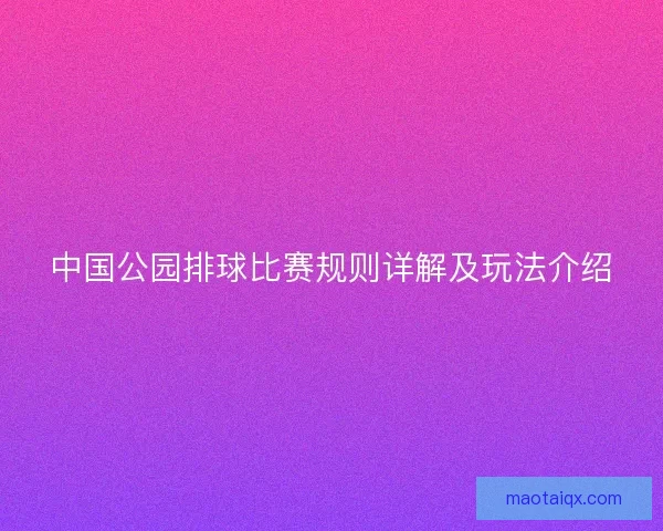 中国公园排球比赛规则详解及玩法介绍