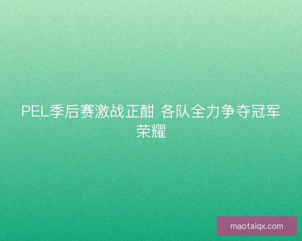 PEL季后赛激战正酣 各队全力争夺冠军荣耀